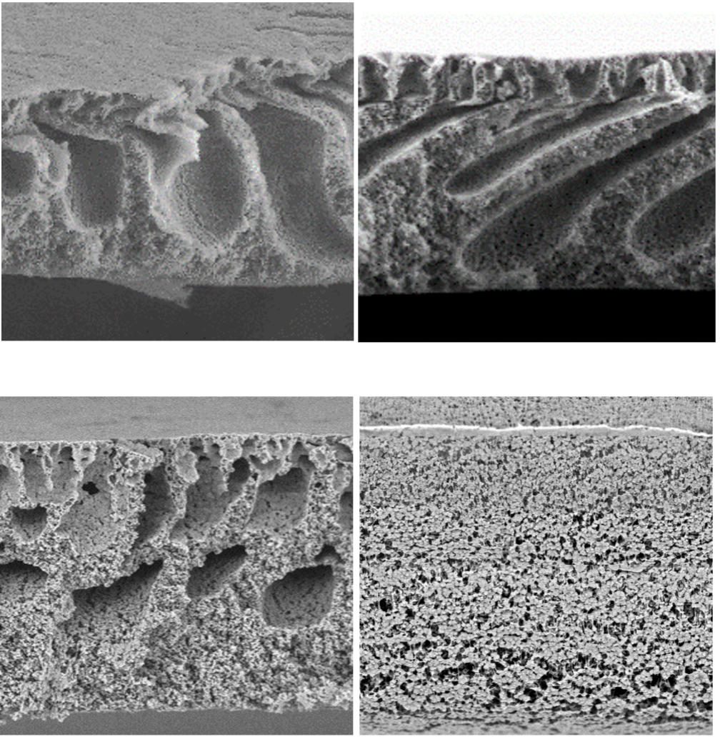 Figure 1. Asymmetric structures of (a) macrovoids, (b) long fingerlike, (c) short fingerlike and, (d) sponge-like of polyvinylidene fluoride membranes prepared by NIPS method Image