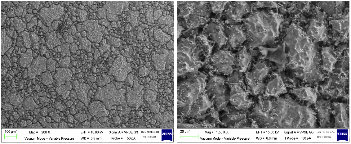 SEM images of the surfaces of the mild steel carburized for 3 hours Image