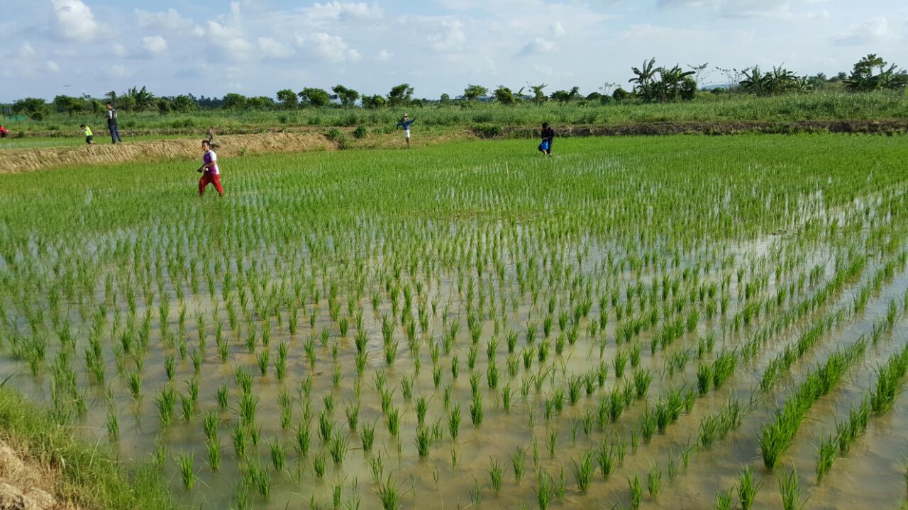 Ladang Fakulti Pertanian Lestari