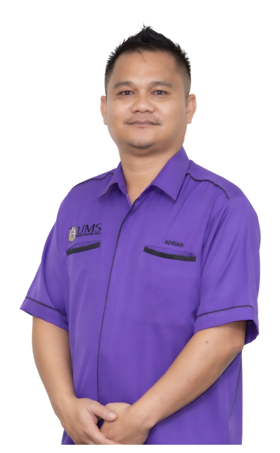 Adrian J Polinus