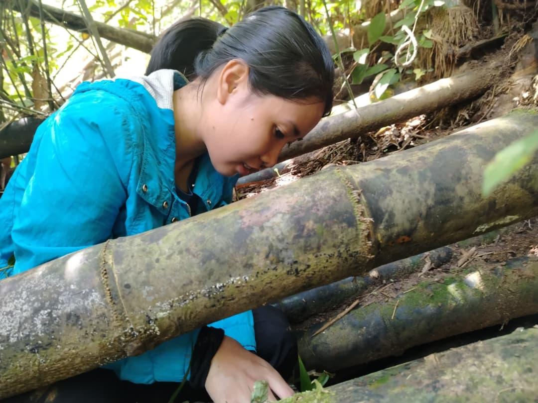 Pangolin Research Program