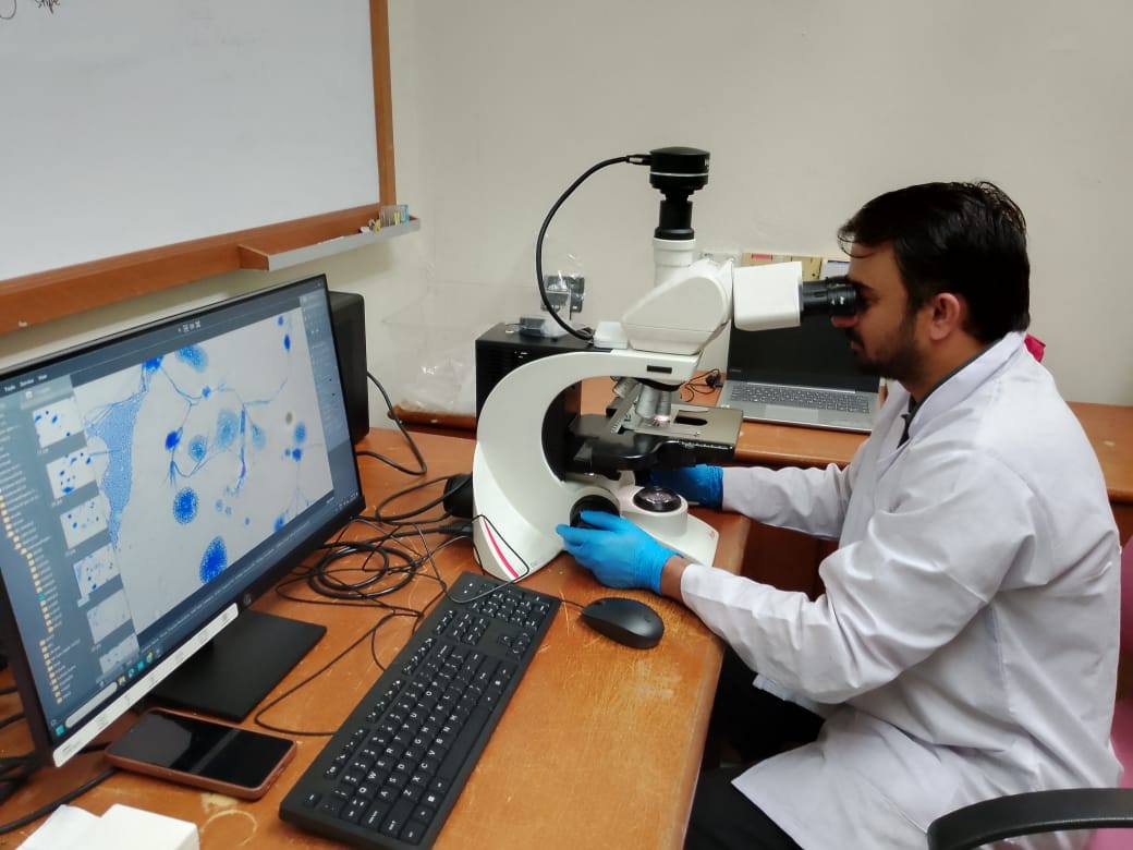 Zombie Fungi, Entomopathogenic Fungi from Sabah