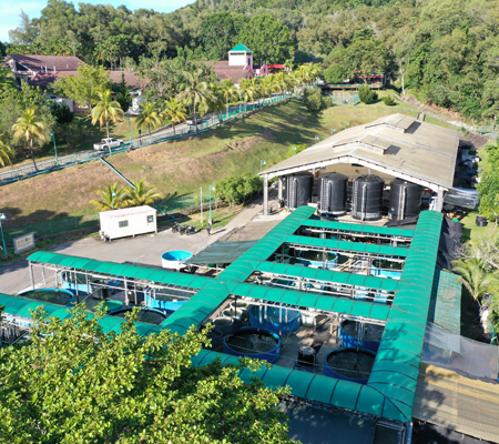 Fish Hatchery Image