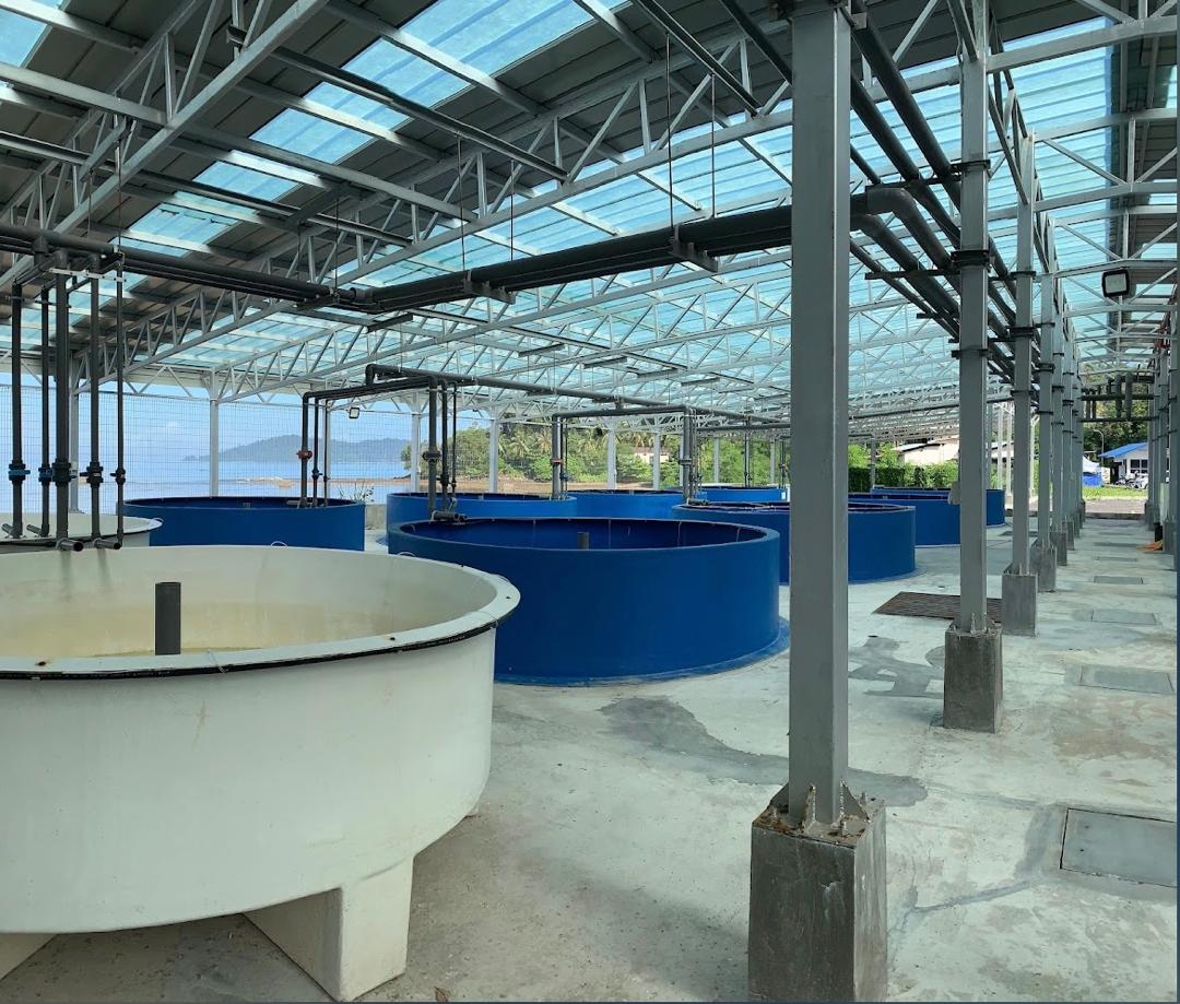Aquaculture Incubator Image
