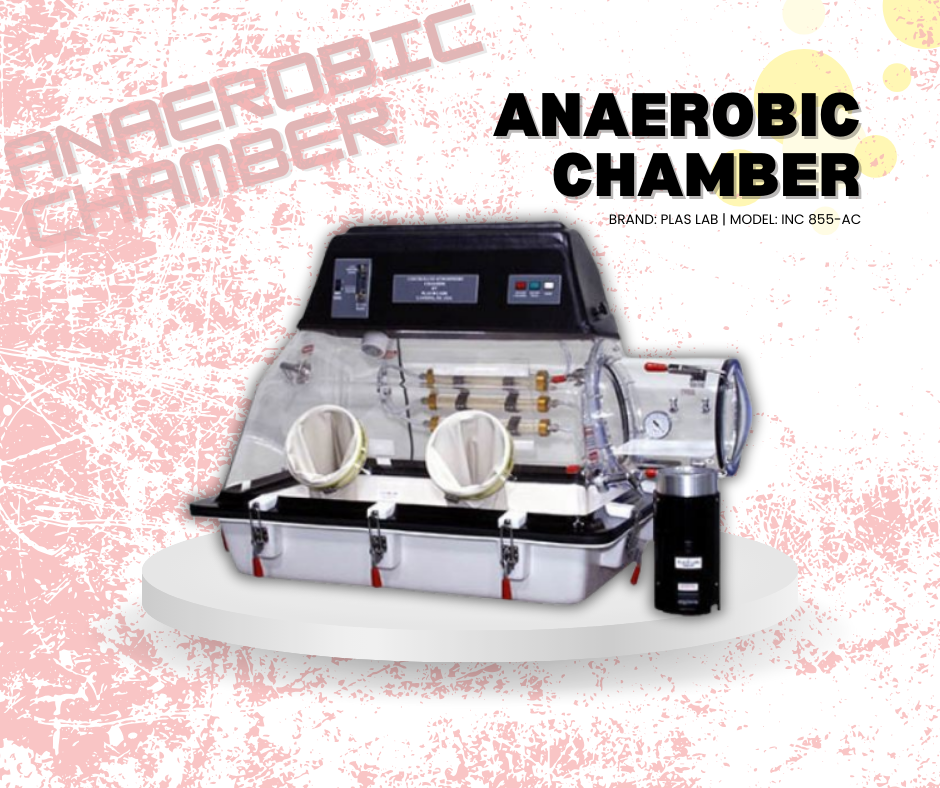 Anaerobic Chamber