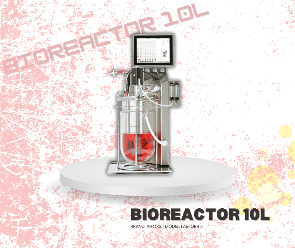 Bioreactor 10L
