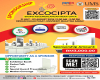 Opportunities as a Sponsor for Ekspo Kecemerlangan Reka Cipta (EXCOCIPTA) 2024