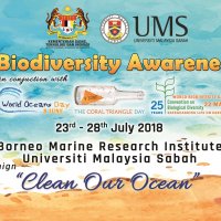 MBAW 2018