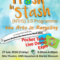 NTrIS Flyer 3.0